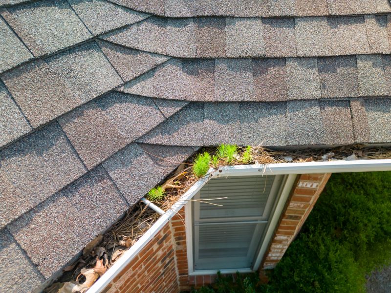 Gutter and Shingle Maintenance