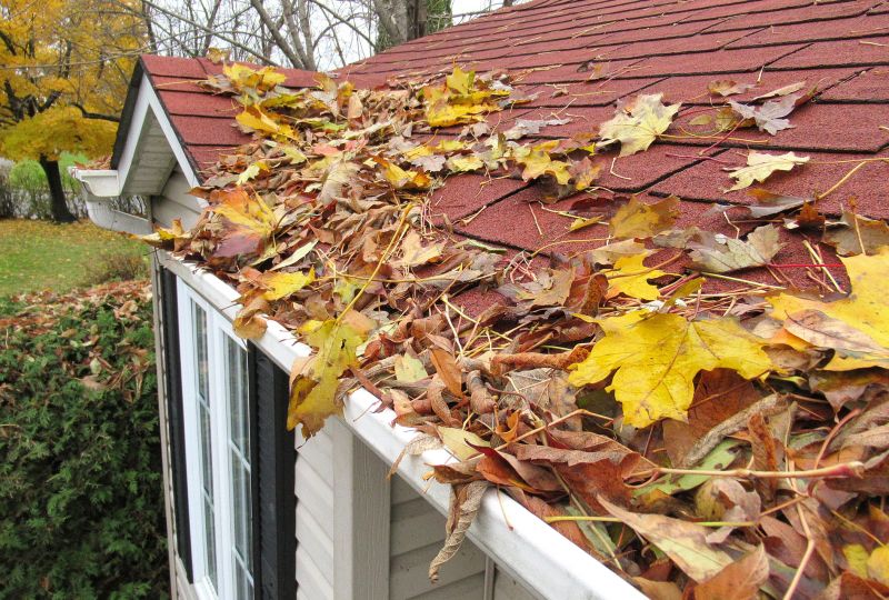 Roof Replacement in Fall